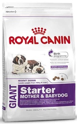 Royal Canin Giant Starter Puppy- Корм для  гигантских  щенков до 2-х мес, беременных и кормящих сук