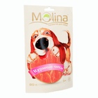 Molina Молина Лакомство для собак Куриные чипсы