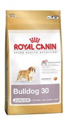 Royal Canin Bulldog Junior- Роял Канин для щенков Английского бульдога до 12 месяцев