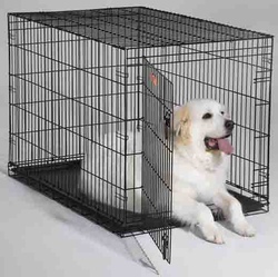 Midwest iCrate клетка для собак, 1 дверь, черная