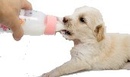 Молочные смеси для котят и щенков