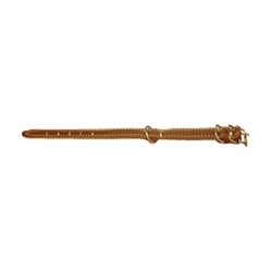 CollaR Ошейник кожаный одинарный 22-30см*10 мм