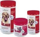 Gelacan Darling - Гелакан Дарлинг для защиты опорно-двигательного аппарата собак всех пород