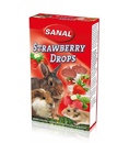 7350 Sanal-Санал для грызунов дропсы клубника