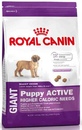Royal Canin Giant Puppy Aktive- Роял Канин Джайнт Паппи для щенков гигантских пород от 2- 8 месяцев