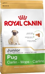 Royal Canin Pug Junior - Роял Канин сухой корм для щенков породы Мопс до 10месяцев