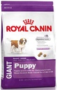 Royal Canin Giant Puppy - Роял Канин Джайнт Паппи корм для щенков гигантских пород от 2 до 8 месяцев