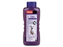 Hartz Groomers Best Puppy Shampoo Харц Шампунь для щенков