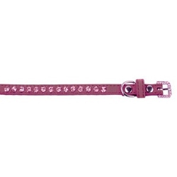 Dezzie Ошейник для собак XS 18-23 см, бархат