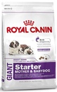 Royal Canin Giant Starter Puppy- Корм для  гигантских  щенков до 2-х мес, беременных и кормящих сук