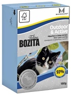 Bozita Tetra Pak Funktion Outdoor& Active кусочки Лося в желе для Активных кошек
