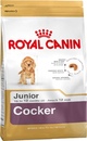 Royal Canin Cocker Junior- Роял Канин сухой корм для щенков Кокер-спаниеля