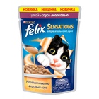 Felix Sensetions Пауч для кошек Утка, морковь в соусе