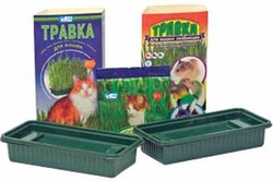 Травка для проращивания для кошек в лотке