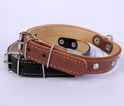 CollaR Ошейник кожаный двойной  27-35см*14мм