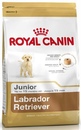 Royal Canin Labrador Retriever Junior - Роял Канин Лабрадор Ретривер Юниор корм для щенков