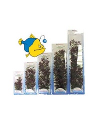 Tetra Растение аквариумное Red Ludvigia (Людвигия красная)