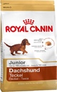 Royal Canin Dachshund Junior - Роял Канин для породы Такса до 10 месяцев