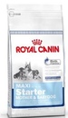 Royal Canin Maxi Starter Puppy  Роял Канин Макси Стартер  для щенков крупных пород до 2мес