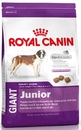 Royal Canin Giant Junior - Роял Канин Джайнт Юниор корм для щенков гигантских пород